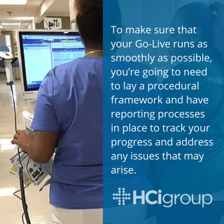 Go-Live Support Procedures and Reporting